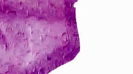 Kulhad pizza couple viral video captures intimate indian moments