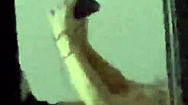 Spying On Wife! Come Fuck Her Now!