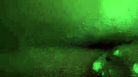 This Guy Is Jerking Off His Big Black Cock