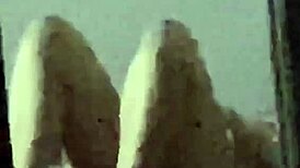 Spying On Wife! Come Fuck Her Now!