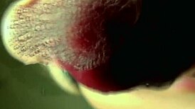 Sophia D Drowns Me in Her Spit Fetish Play