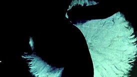 two centuries of vintage group scenes