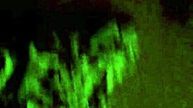 hey guys check this bondage bound video it's so intense 😈