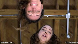 roommates elle eros and clara dee pull you into pegging threesome