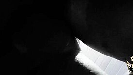 Trailer - fan fills Paty Angel's pussy bare