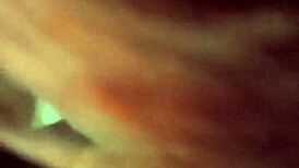 Slut Italian Sucks Cock And Ass Deep