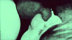 Two Centuries of Vintage Porn Cumshots