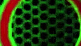 jenna foxx and vicky vette testing lesbian sex machine with big natural tits