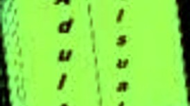 Exploring alternate existence 8 in this exciting game adventure.