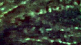 Enjoy The Subtle Art Of Deepthroat And Facial In This Second Part.