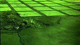 hd teen bath solo unless youre from the sixties and dig that earth