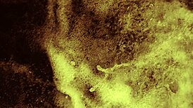 i'm a goth babe fingering my pussy in black metal alps austria uncensored