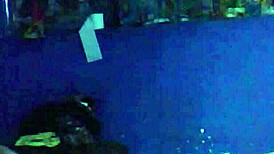 My Husband Got Drunk and Fucked the Neighbor!