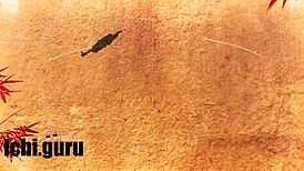 Hottest Amateur Asian Sluts Perform Sensual Blowjobs and Tit Play Online.