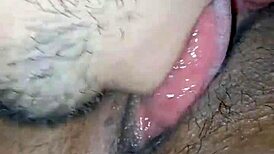 I am licking my wife's delicious pussy so passionately.