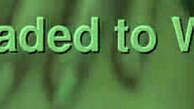 I and My Cousin Save Water Showering Together!