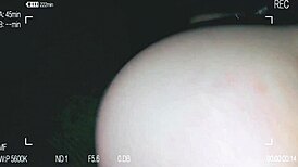 I suck monster cock and get creampied in pov