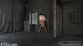 Bdsm Slave Wears Collar!