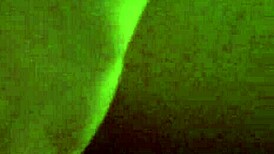 Amateur German Experiencing Orgasm Contractions