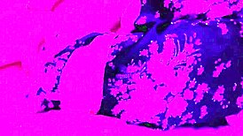 amateur pov kimono cosplay sex from front back to creampie 😍