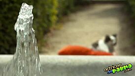 uh, torrente x 3, episodio 1, el secuestro, ya know?