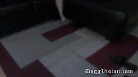 Huge Tits BBW Squirts on BBC in Lingerie!