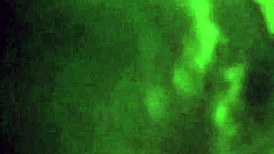 I'm back again, craving that big black cock for face fucking.