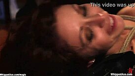 Hey, can this busty redhead babe handle ass and feet caning in wild submission?