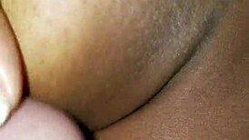 Amateur Titfuck Blowjob Cumshot