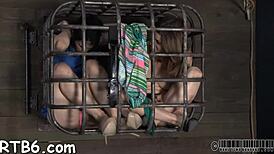 petite girl strips in iron cage, hinting at wet pussy bdsm submission.