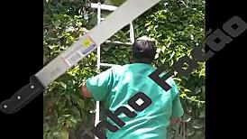 Go get a banana, cuckold, and come back with a creampie?