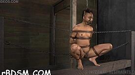 Intriguing Sadomasochism Practices In Bizarre Scenarios