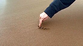 Man, I gave her a creampie right after our beach date.