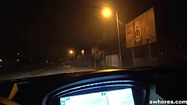 Real Street Whore Gets POV For 120 Euros!