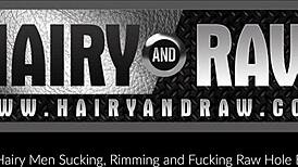 Watch Hairyandraw Sebastian Sax Get Rammed Rough After Giving Head