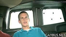 Gay Arse Videos