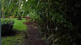 The Time For Ass Is Ny Jovan Jordan Ny Ny Lew Connie Perignon