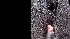 Cyndy Blackslave Closeup Pussy Play with Clit and Cum