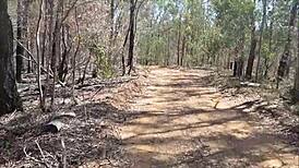 guy jerks off in the bush outdoors