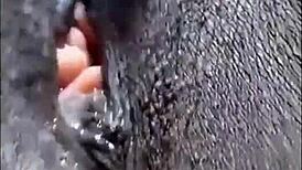 Cyndy Blackslave Closeup Pussy Play with Clit and Cum