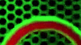 Huge Boobed Sara Jay Uses Dildo To Drill Her Pussy In The Bathtub With Dirty Talk