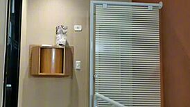 Nicole Romanoff gives her ass after betrayal discovery