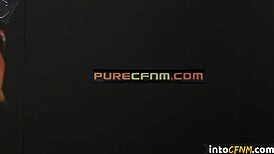 Pigtails British Babe in Glasses Deepthroats Hard in Stockings