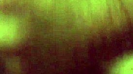 Sexy Southern Slut Sucking Cock In Cuckold Scene