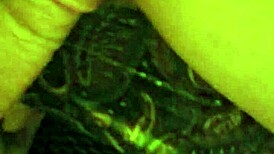 Hairy beaver gets fucked doggystyle passionately