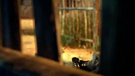 Furry Jackal Scissoring Furry Dragon