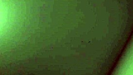 Fucking my 18-year-old neighbor in the dorm while my cuckold husband and her mom attend the city council meeting