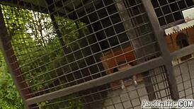 Watch Her Ass Get Trained!