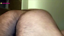Hey, young bull fucks bbw milf's big tits!