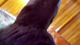 I couldn't resist and choked on the pastor's cock at church